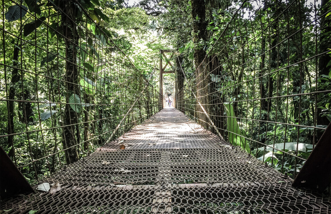que faire au costa rica : monteverde