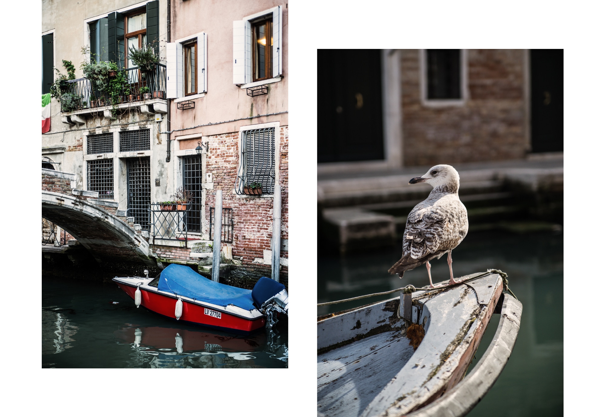 Gondole et mouette à Venise en Italie