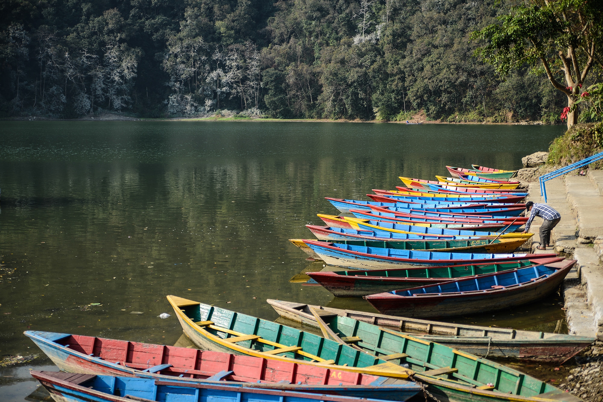 Barques du lac Pokhara au Népal