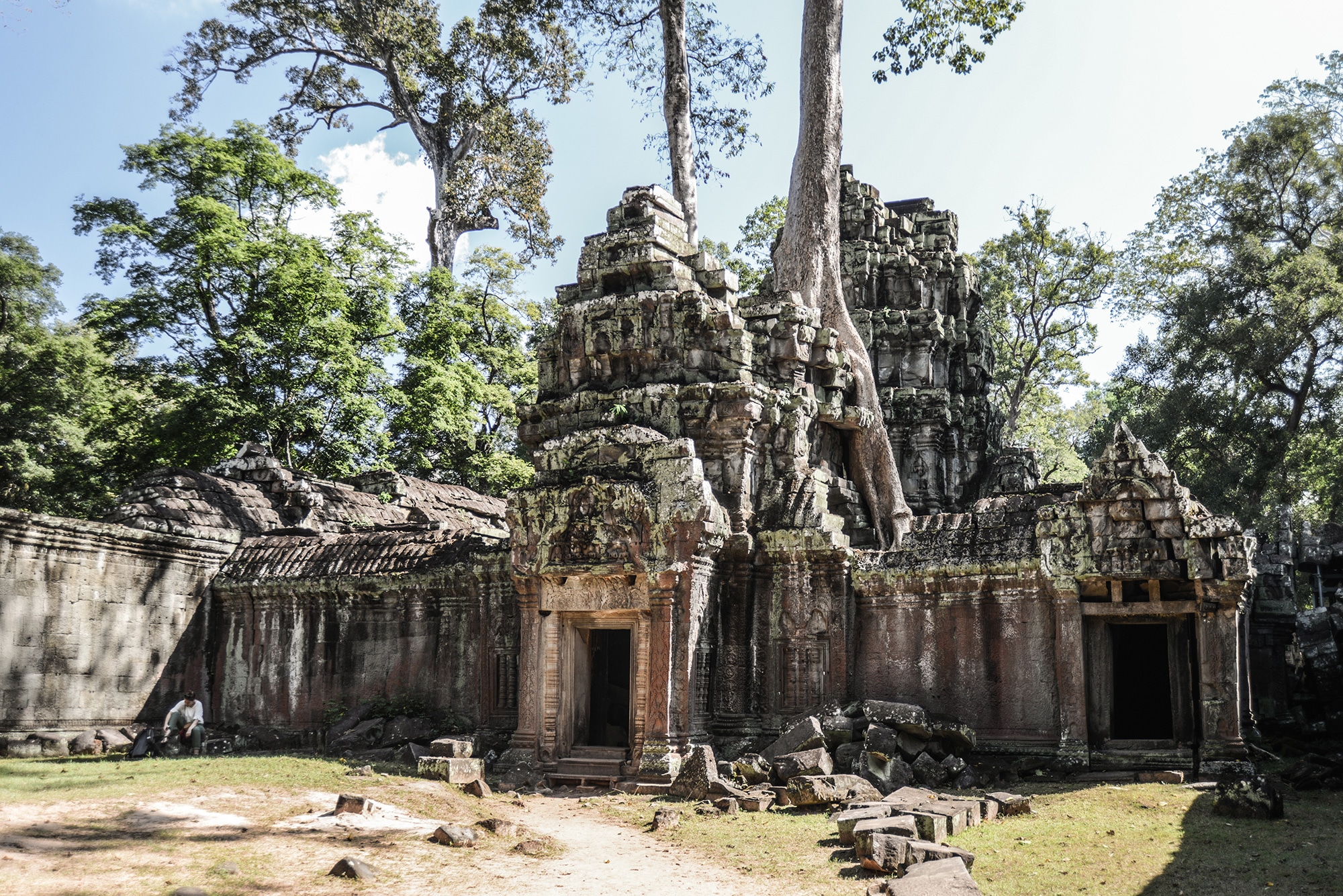 Le temple Ta Prohm, le temple de Tomb Raider à Angkor au Cambodge