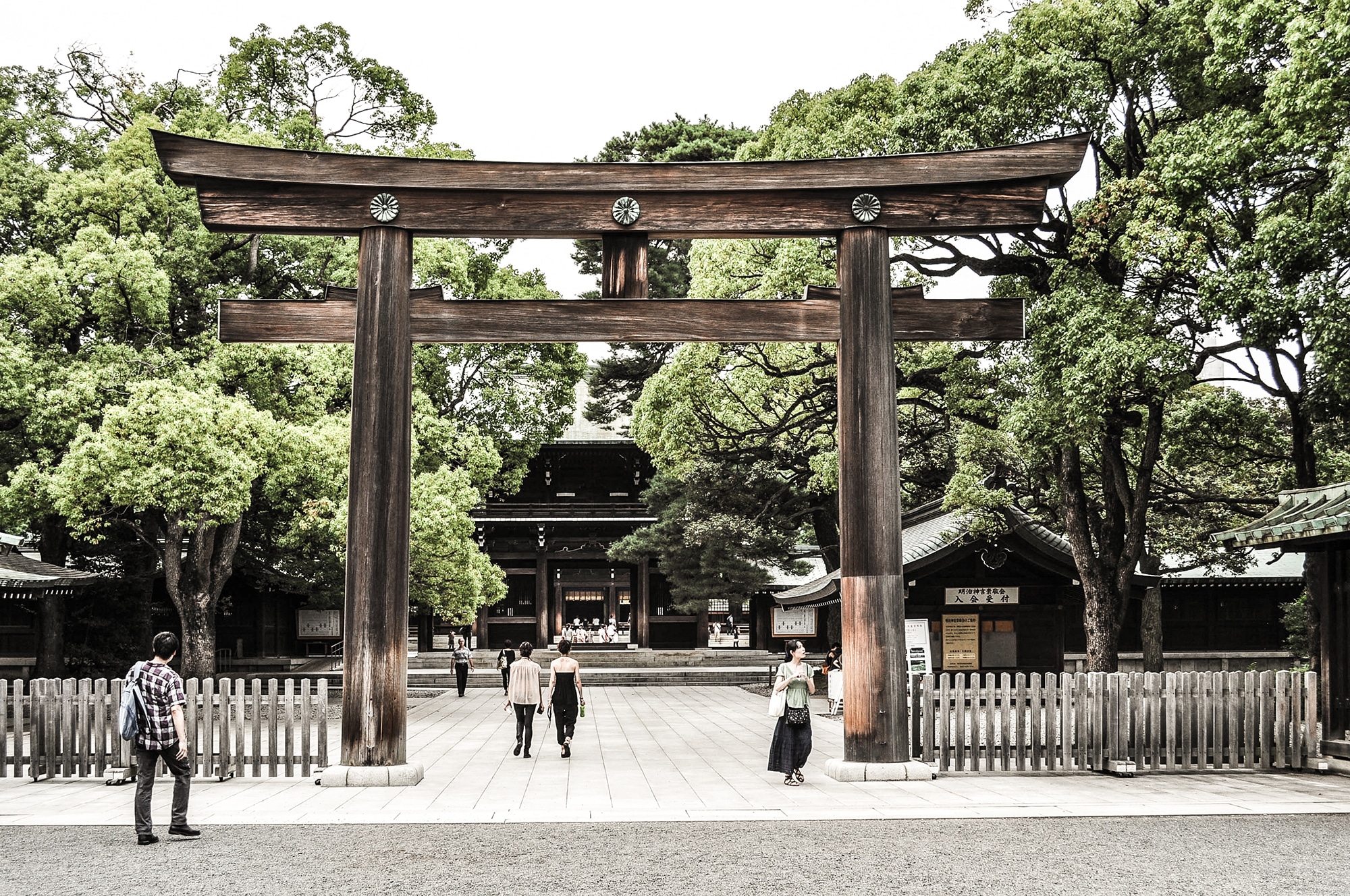Le temple Meiji Jingu à Tokyo a Tokyo au Japon