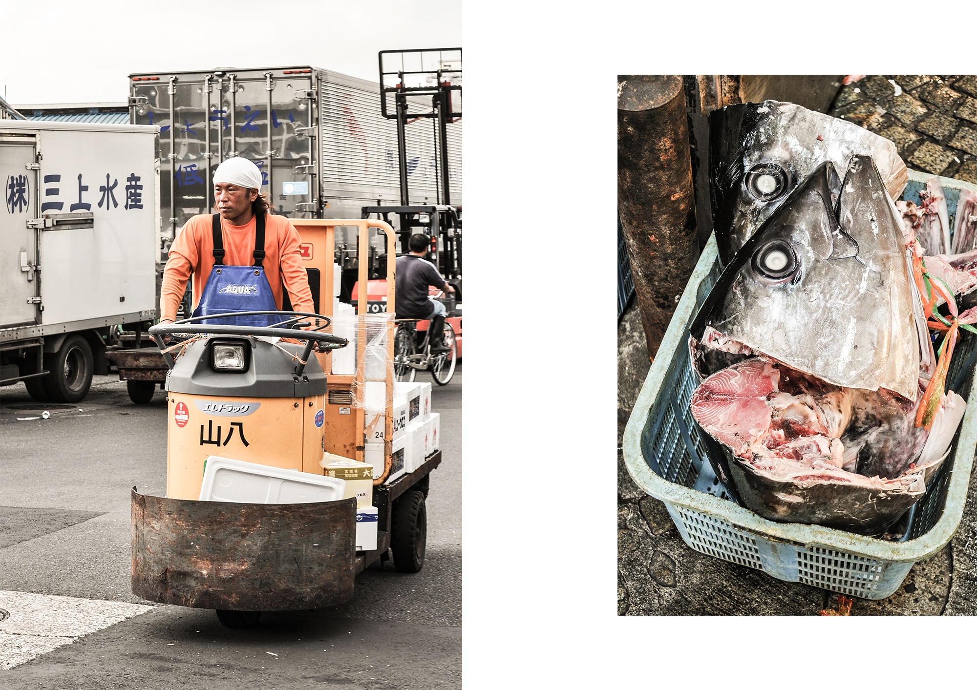 Le marché aux poissons de Tsukiji à Tokyo à Tokyo au japon