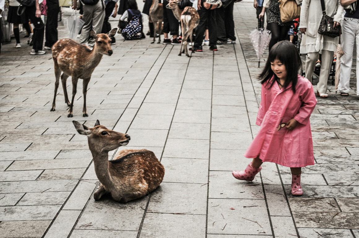 nara