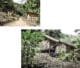 Maison dans la jungle en Thaïlande