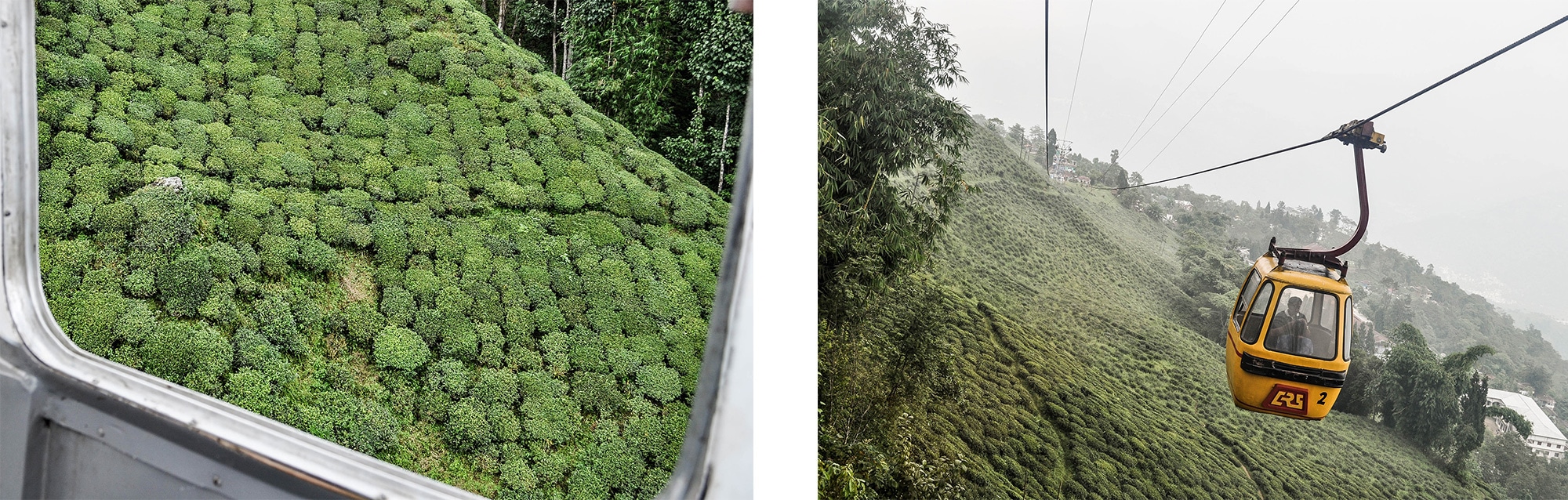 Vue depuis le téléphérique sur les plantations de thé à Darjeeling en Inde