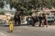 Des éléphants dans la ville de Jaipur en Inde