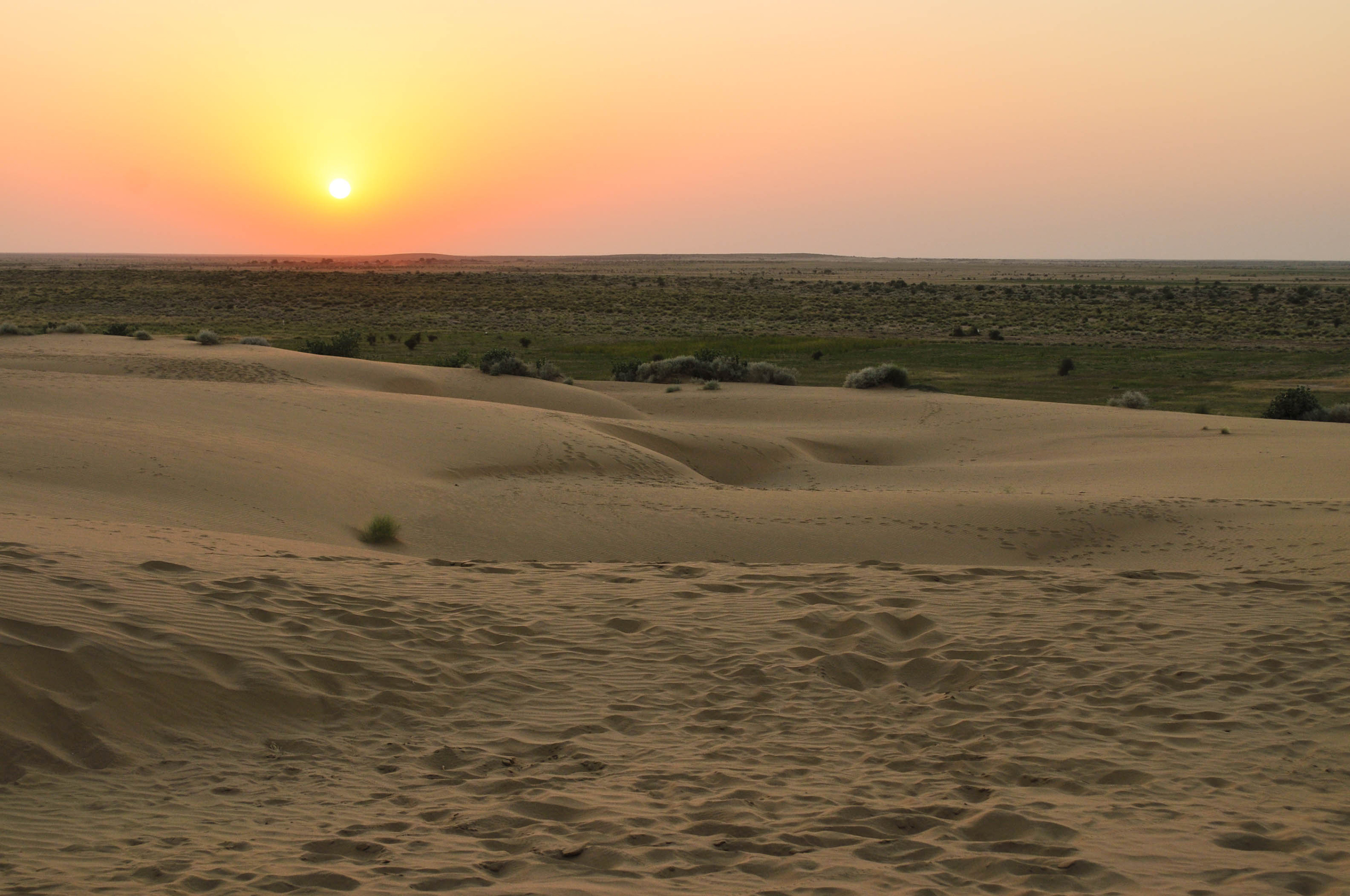 coucher de soleil dans le désert du Thar au Rajasthan en Inde