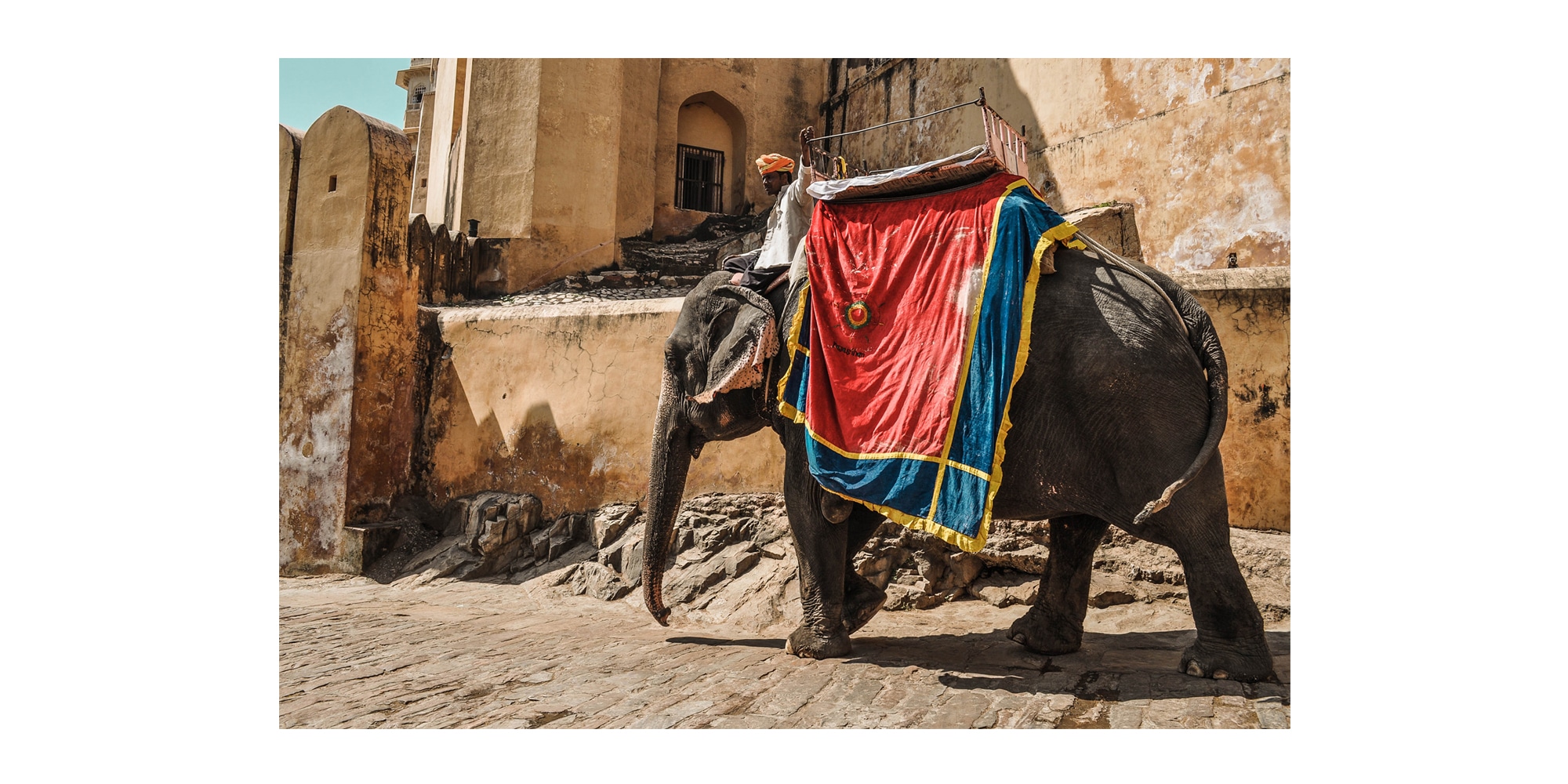 Un éléphant dans le fort Amber à Jaipur en Inde