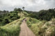 le Campuhan Ridge Walk à Ubud Bali