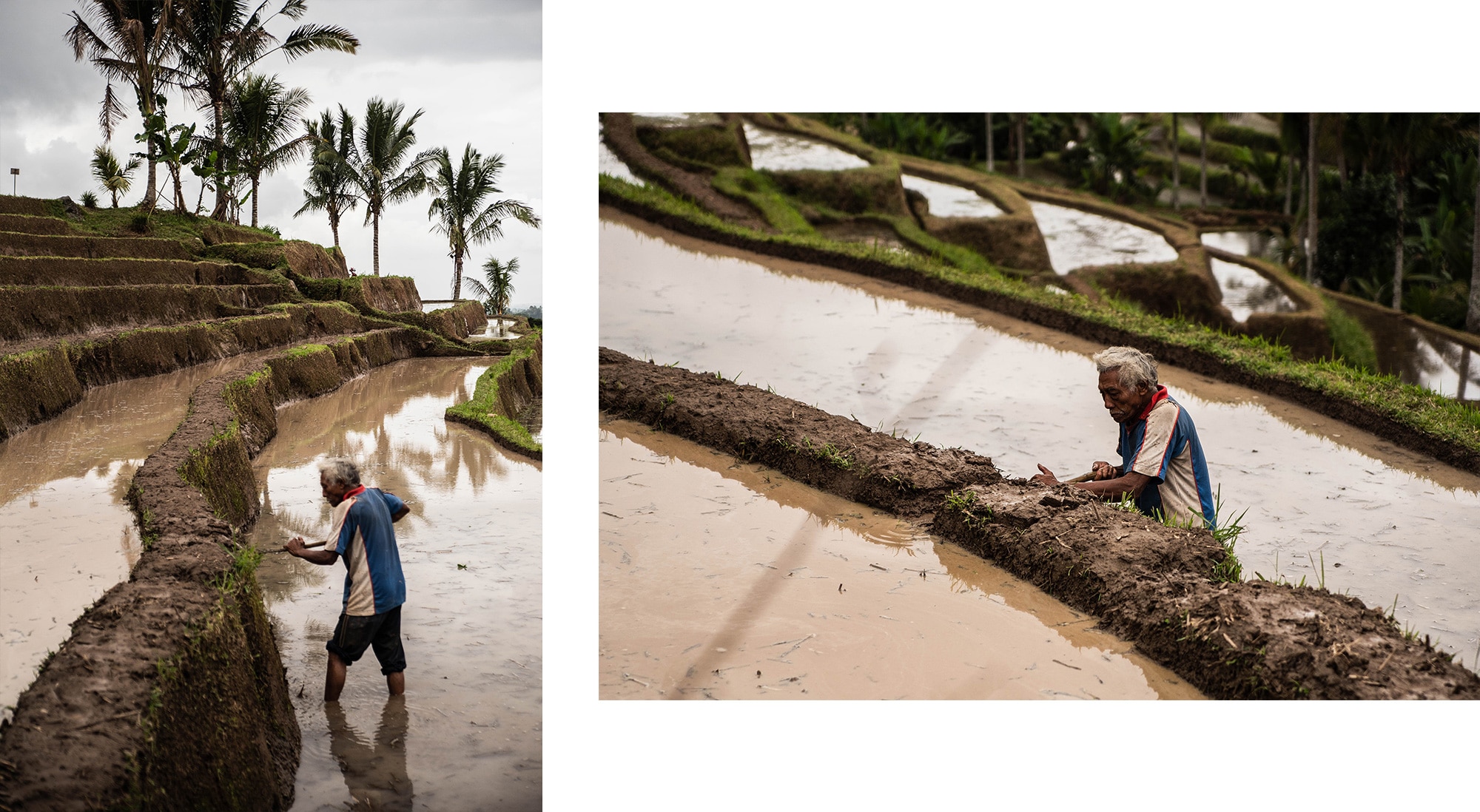 Un homme au travail dans les rizières de Jatiluwih à Bali
