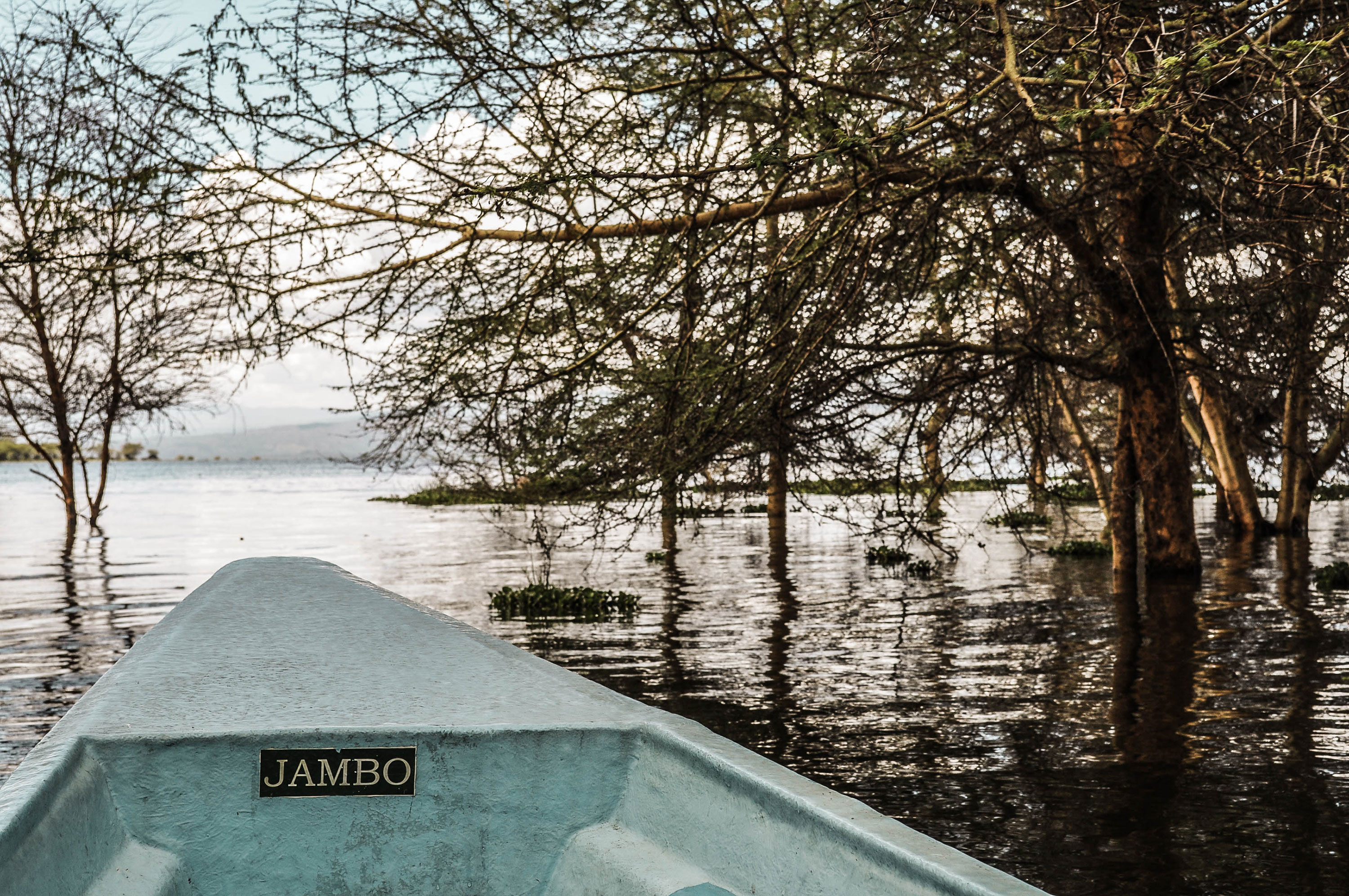 Une barque sur le lac Naivasha au Kenya