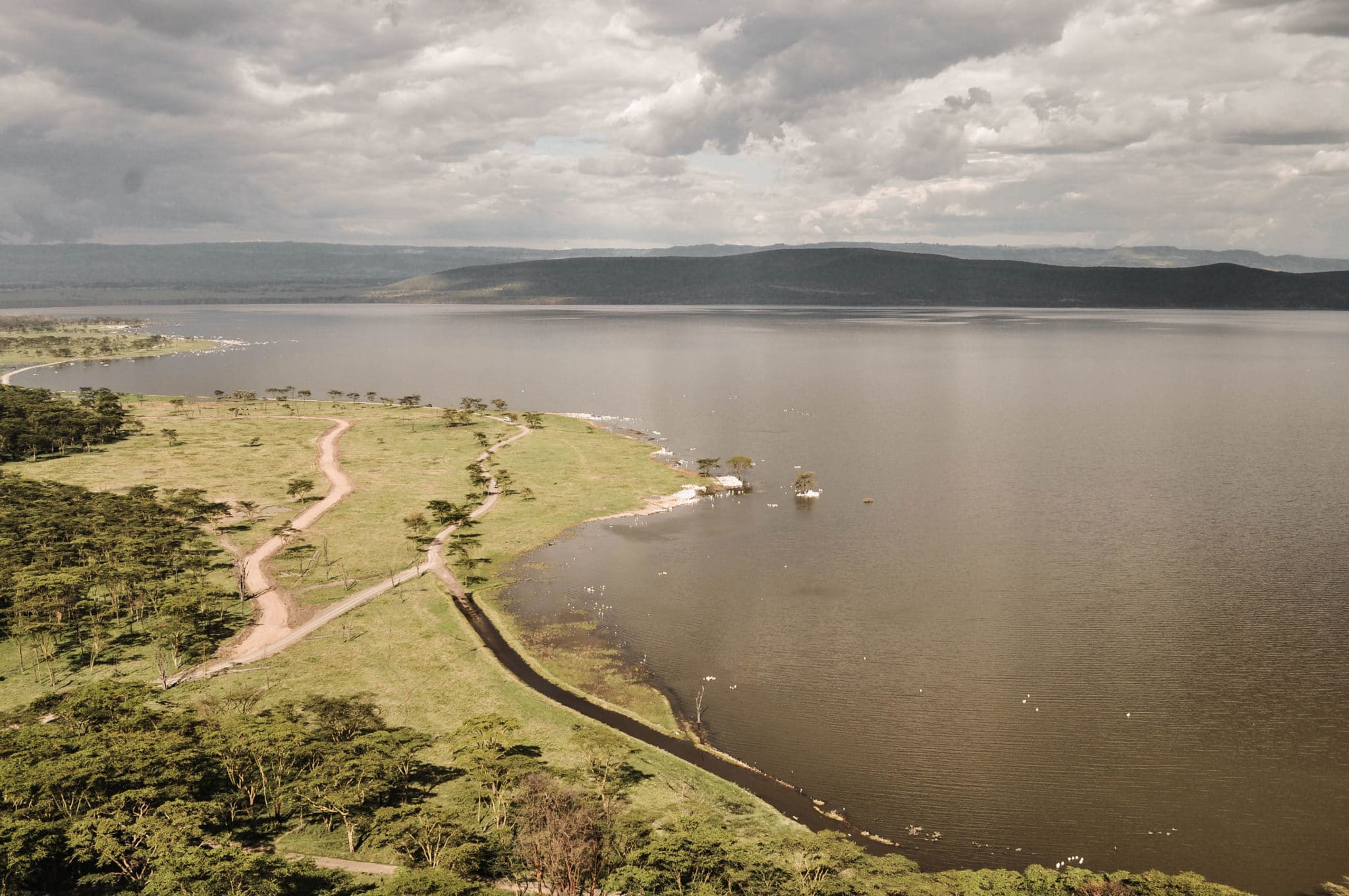  lac Nakuru au Kenya