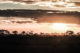 Coucher de soleil dans le parc d'Amboseli au Kenya