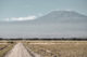 Le Mont Kilimandjaro dans le parc d'Amboseli au Kenya