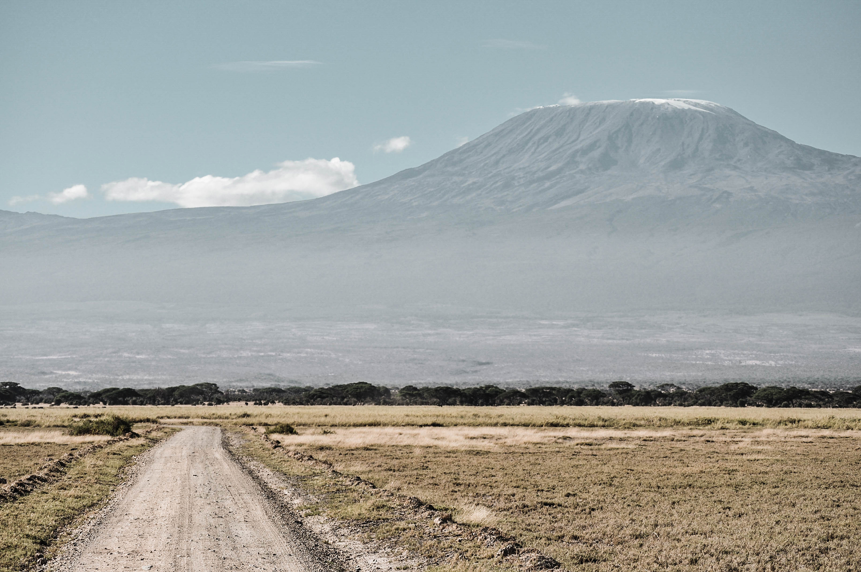 Le Mont Kilimandjaro dans le parc d'Amboseli au Kenya