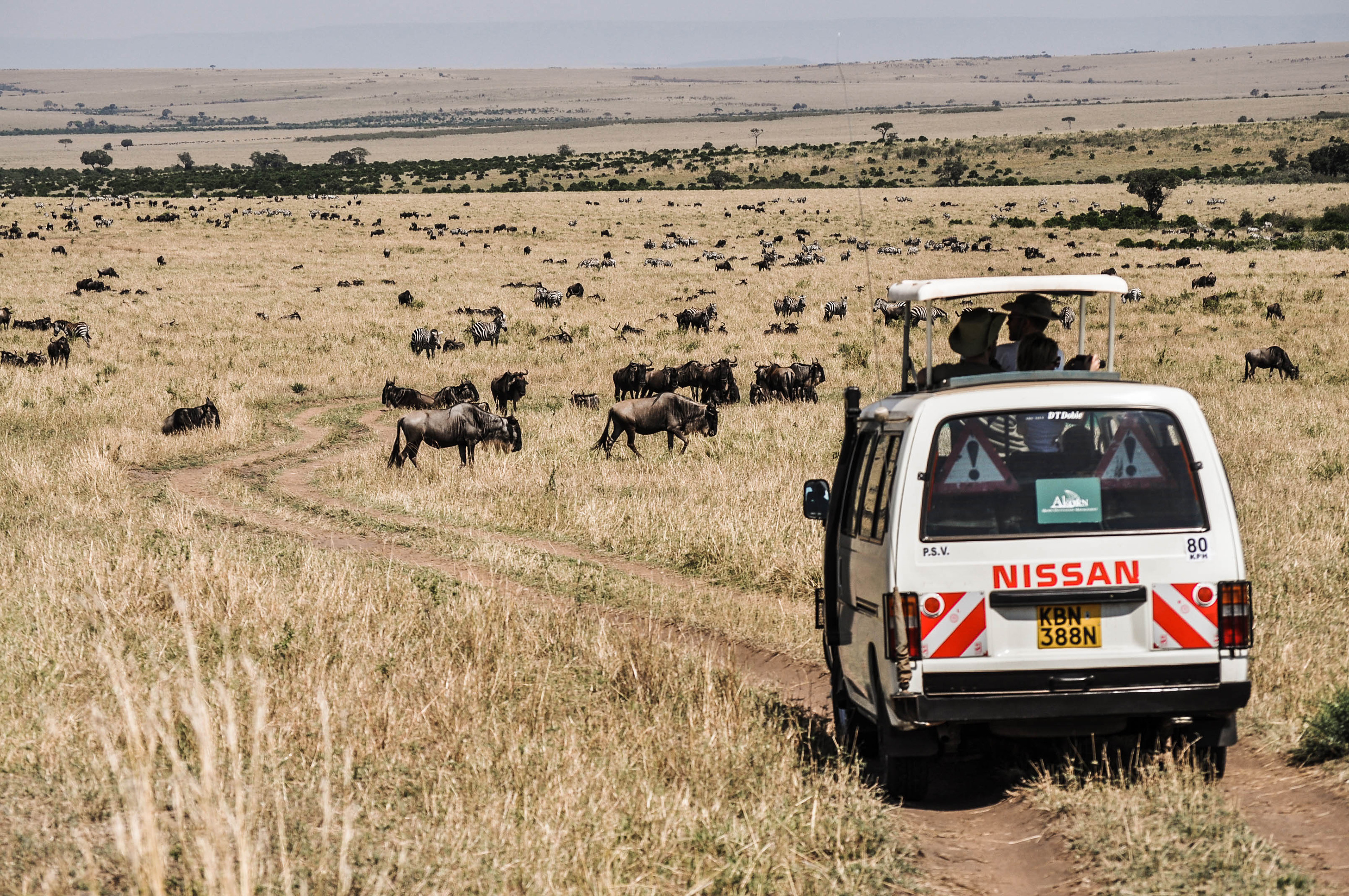 safari Massaï Mara au Kenya