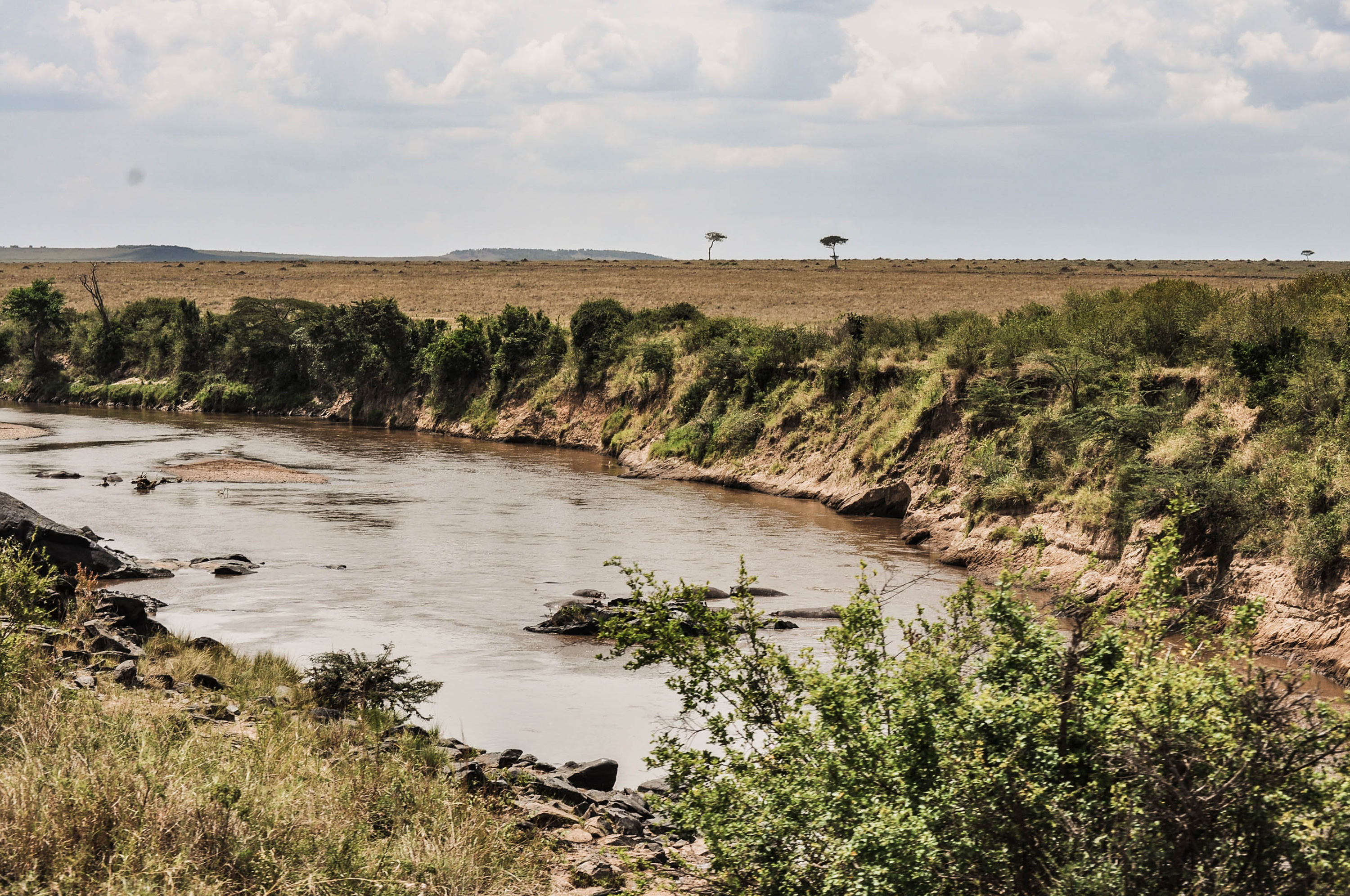 La rivière Mara au Kenya