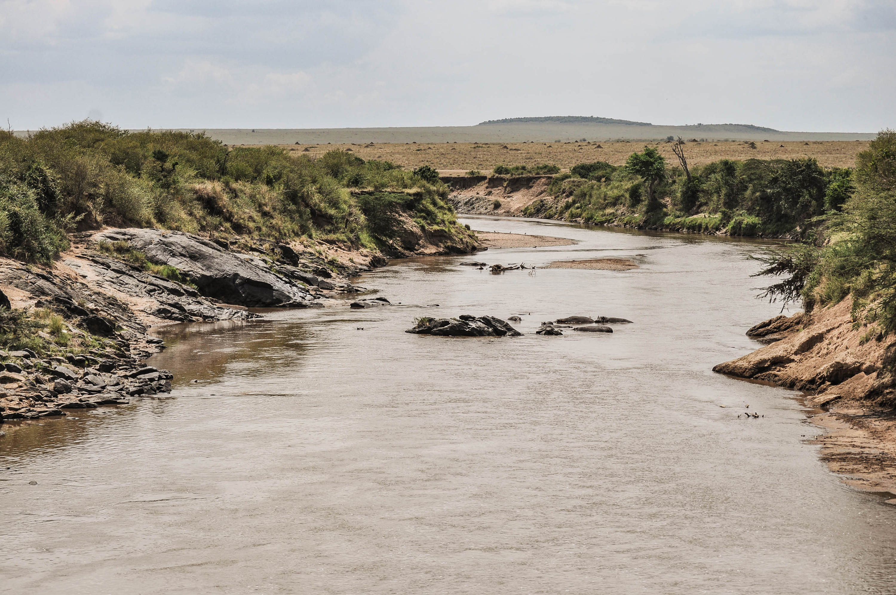 La rivière Mara au Kenya