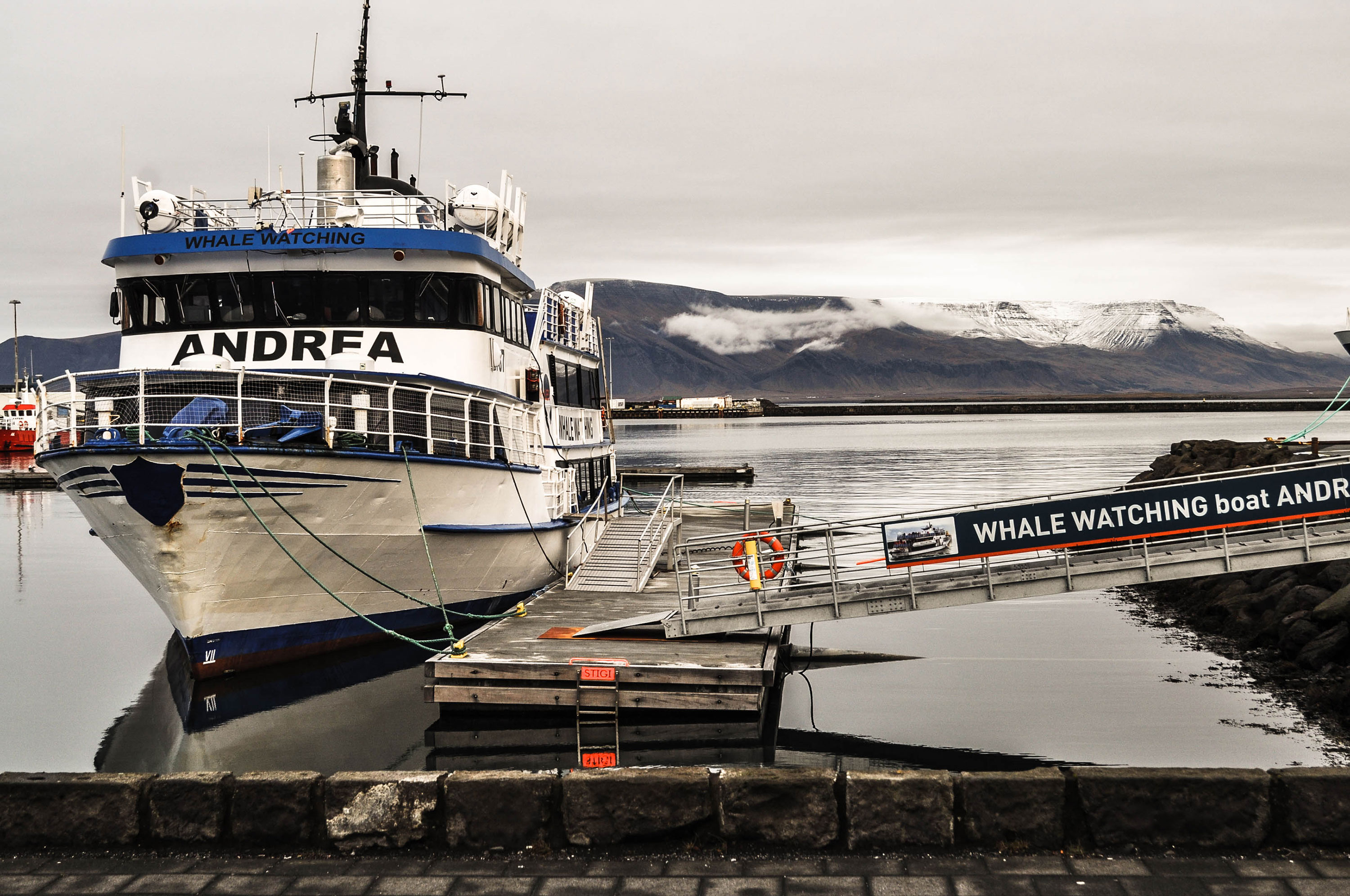 Un bateau dans le port de Reykjavik.