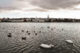 Le lac de Reykjavik.