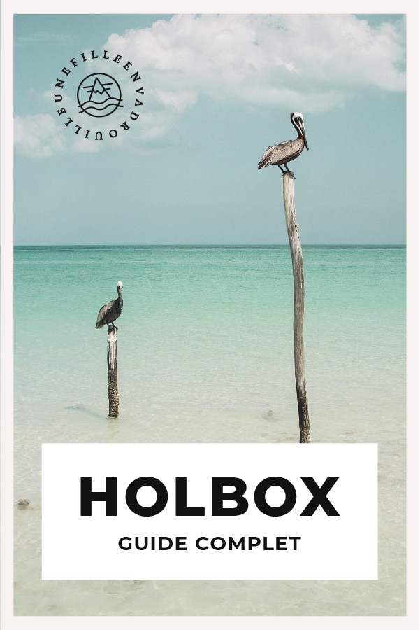 guide voyage holbox mexique