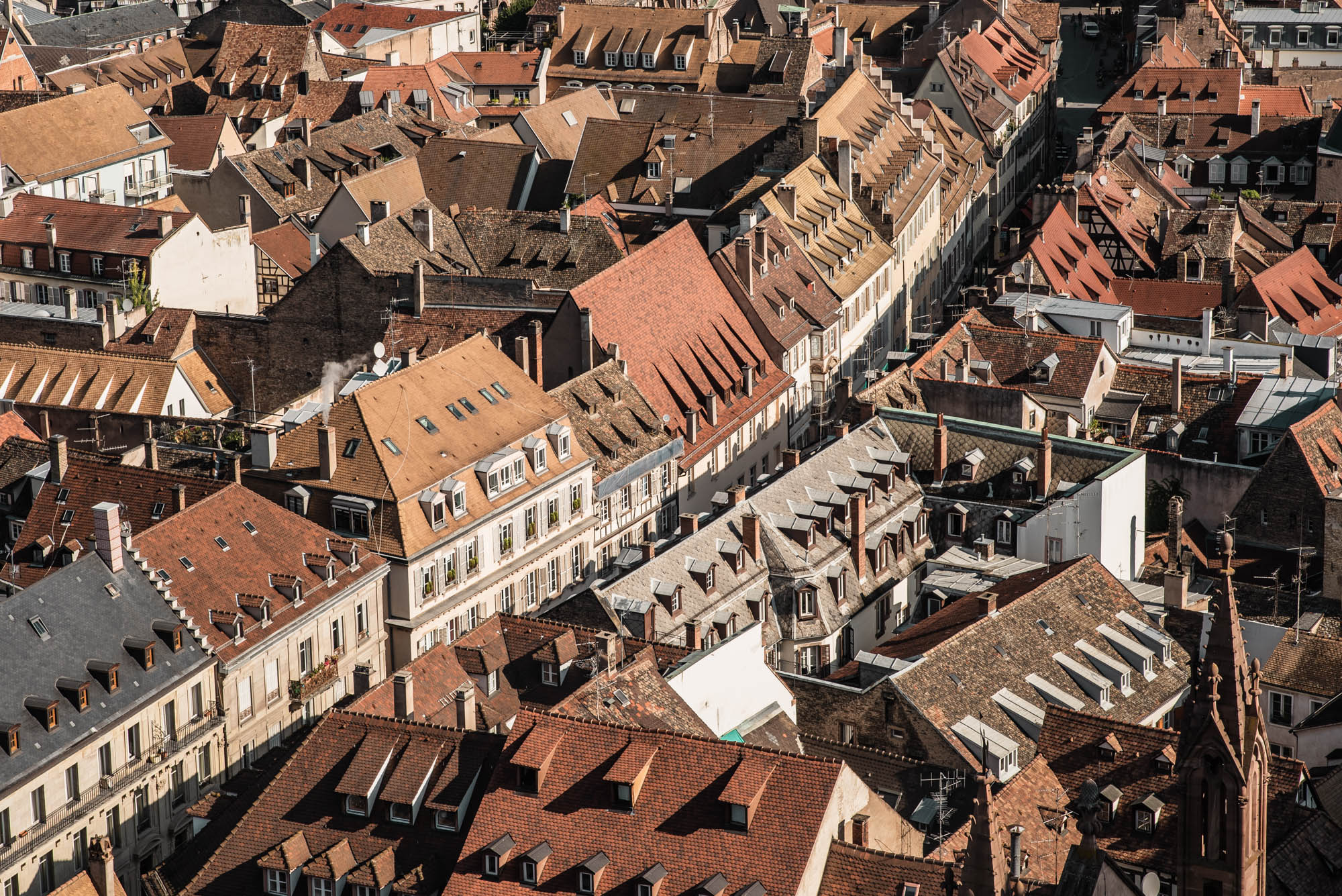vue des toits depuis la cathédrale de strasbourg