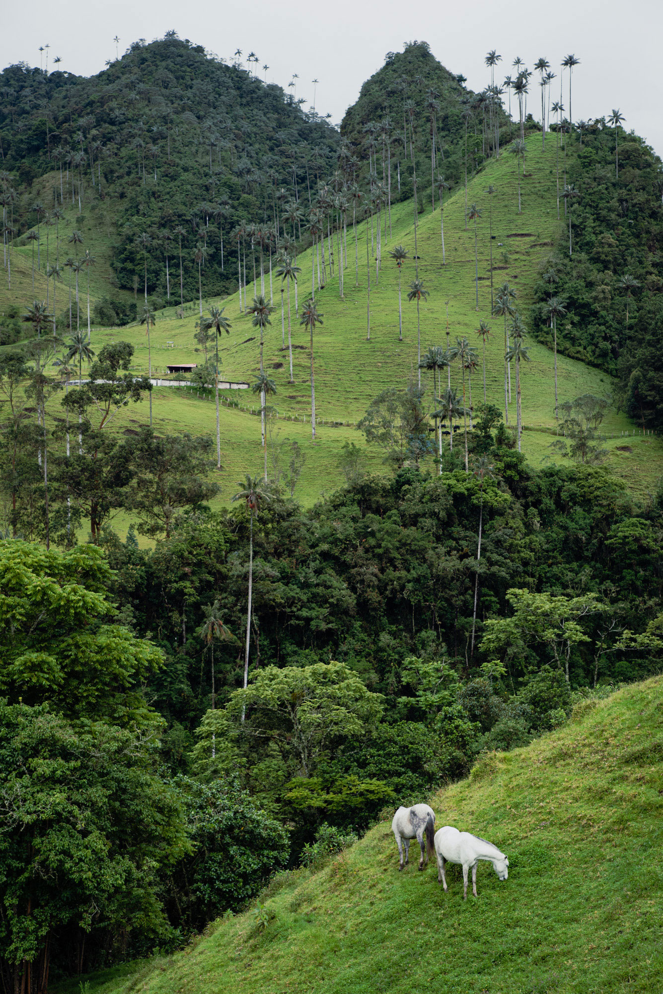 Visiter la Colombie en 15 jours, itinéraire