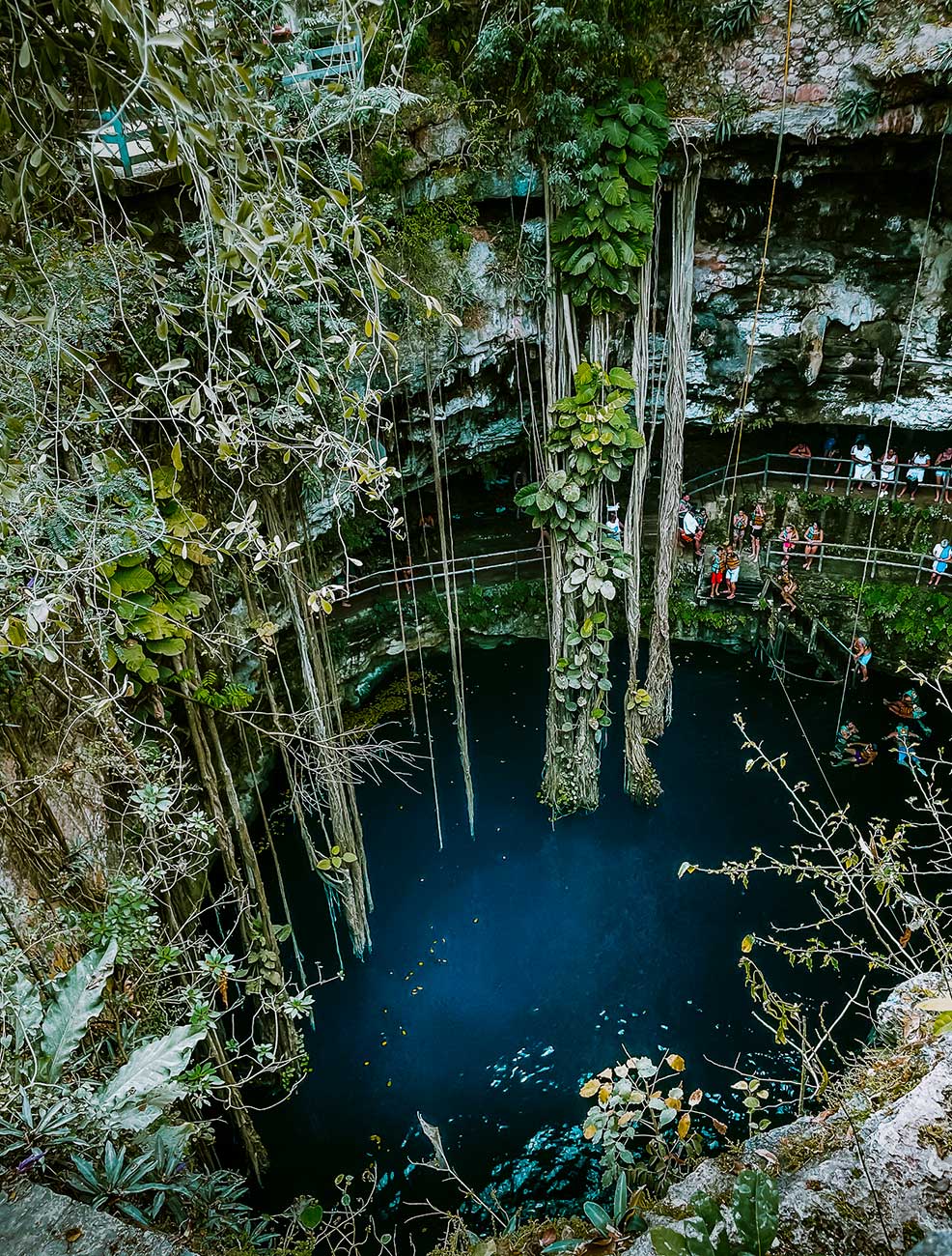cenote Oxman road trip yucatan mexique