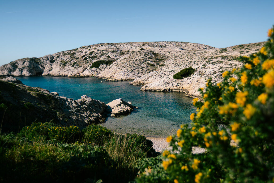 que faire à marseille : frioul